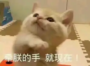 可爱猫咪表情包,快拿去撩小姐姐001
