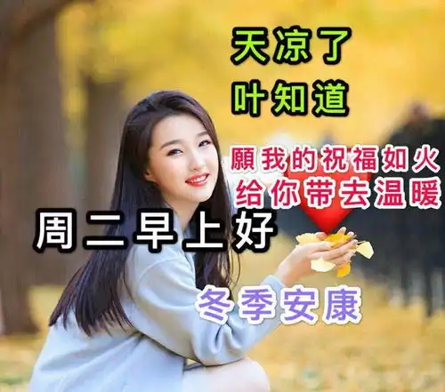 非常漂亮的周二早上好表情包,天寒注意身体,暖暖的祝福送给你
