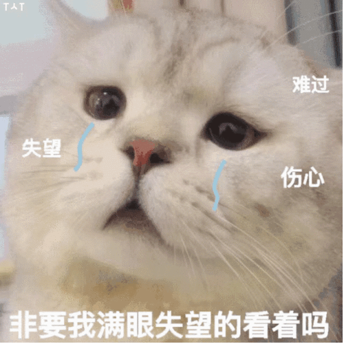 要亲亲抱抱举高高
