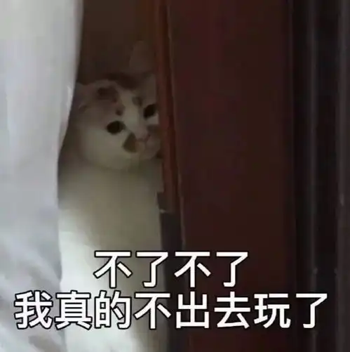 热门表情包图片我是你的小宝贝,现在你的小宝贝饿了
