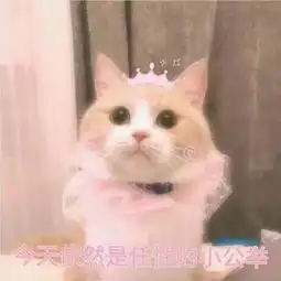 聊天怎能少了这些表情包呢
