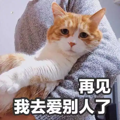 直男和小仙女都用什么表情包
