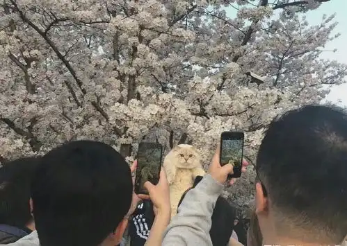 这表情哈哈哈哈,真的很像大郎
