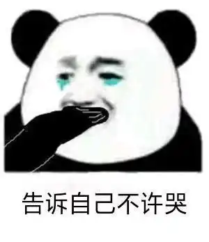 沙雕熊猫头我这么靓仔,是不会骗你的
