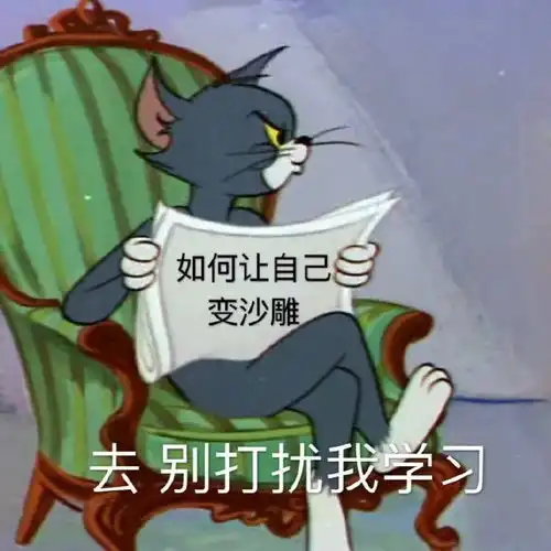 认怂表情包可爱猫生气