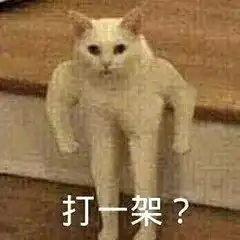 不吃菜也不吃肉,天天靠豆皮蟹棒维持生命是什么鬼
