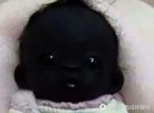 非洲黑娃黑的出了奇了,太可爱了
