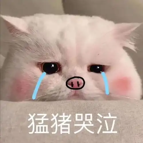qq表情包下载qq表情包大全腾讯qq表情包当易网
