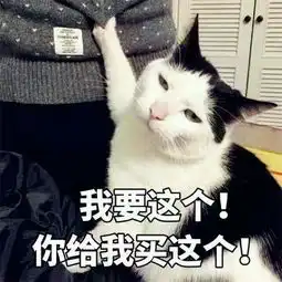 可爱卖萌搞笑表情包
