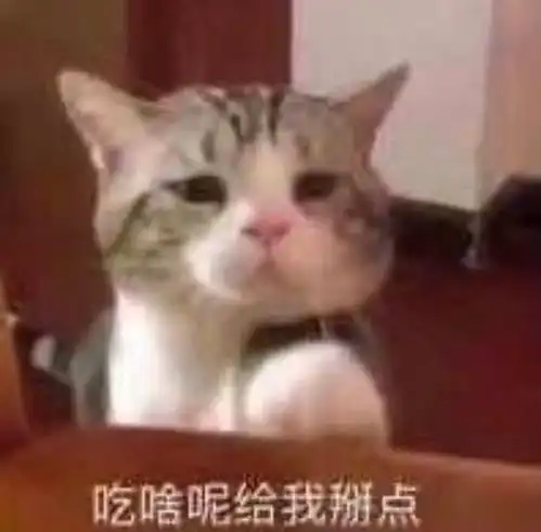 表情包你吃的啥给我掰点呗