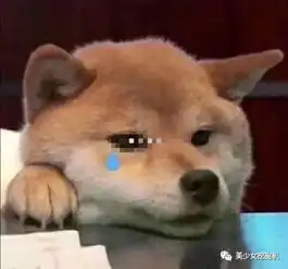 1秒10万的李佳琦入选福布斯却被这个半路杀出的通天鼻网红碾压了
