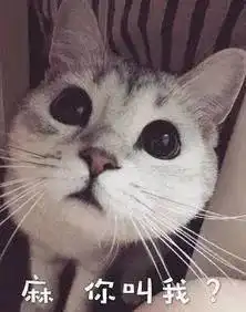 猫咪的睡觉姿势,也能表达它对你的信任一起来看一下吧
