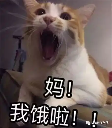 聊聊今天你被父母嫌弃了吗
