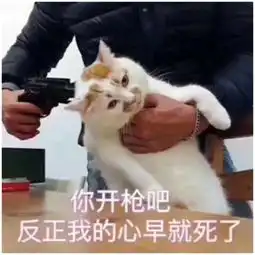 只要10片瓦,夏天的空调不要钱

