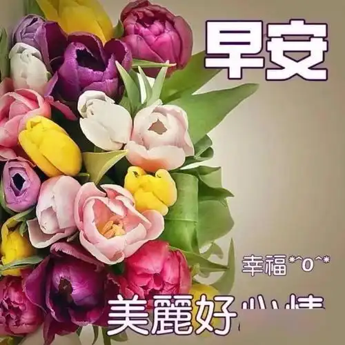 早上好问候语动画图片大全,早晨祝福语表情包,早安
