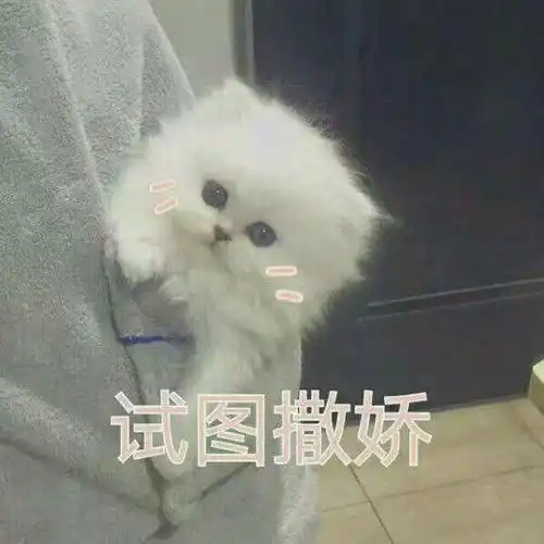老师有编制和没有编制有哪些区别
