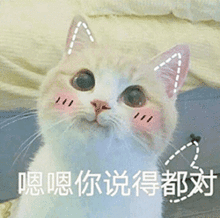 南宁又一大学草坪惊现眼镜蛇保卫处称可能是餐厅饲养的
