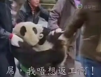 我唔想返工表情包下载
