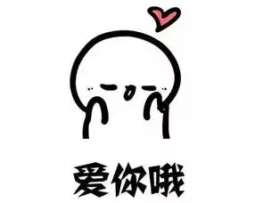 暴走老司机冠军出炉原来是别人家的女司机
