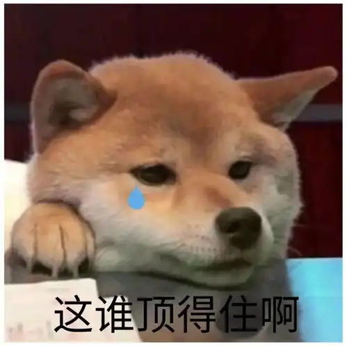排便难拉肚子胀气哭闹,孩子有这些肠道问题该这么办
