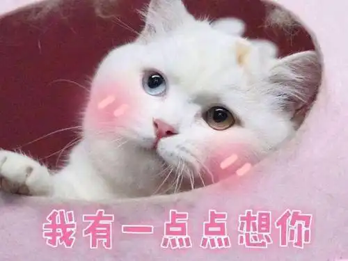 逗男朋友的暧昧表情包来了,仰望迷人帅气的小哥哥,我有一点想你
