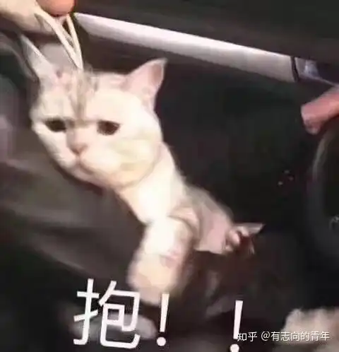 适合恋爱时候甜甜的表情包
