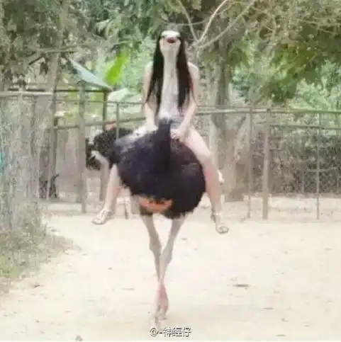 这种照片你在广丰朋友圈见过么留着有什么用
