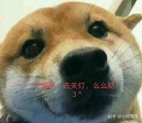 寝室欢乐多寝室关灯专有表情包
