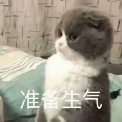 沙雕表情包头像可爱
