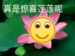 表情sir郑重送你四个字洗洗睡吧
