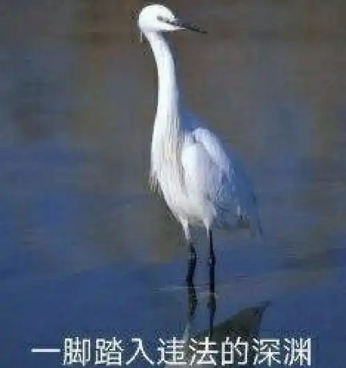 请问怎么把微信语音做成音乐
