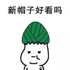 端午节专用斗图表情包,鄙视不发粽子的群主
