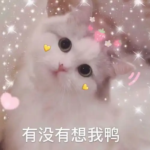 发给对象的可爱撒娇句子,甜到心坎里
