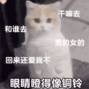表情包大全可爱表情包动图
