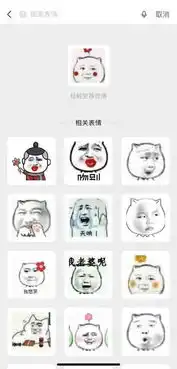 微信新功能,表情包搜表情包,斗图我就没输过
