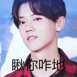 鹿晗有哪些好玩的聊天表情包
