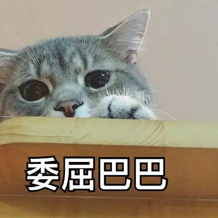 萌猫哭的表情包