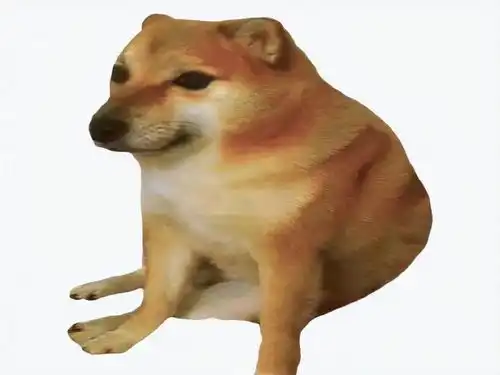 doge表情包原型去世
