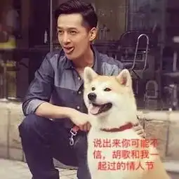 表情包情人节,防身必备搜狐搞笑搜狐网
