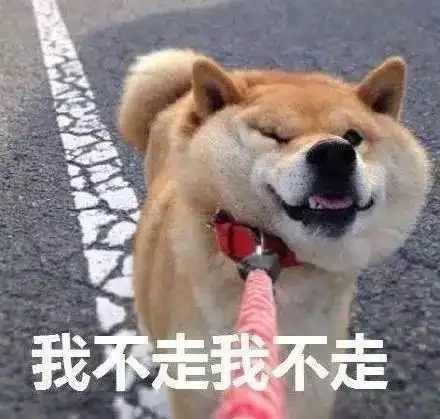 魔性狗子表情包全属精品
