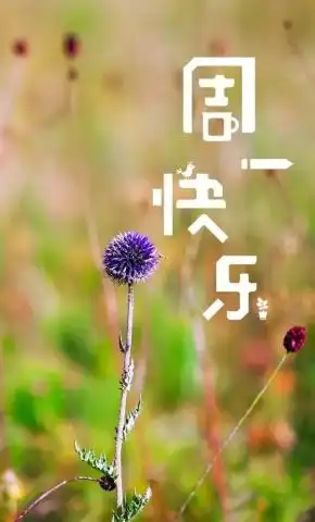 新的一周早安动画表情动态图片最新的周一早安问候动态图片