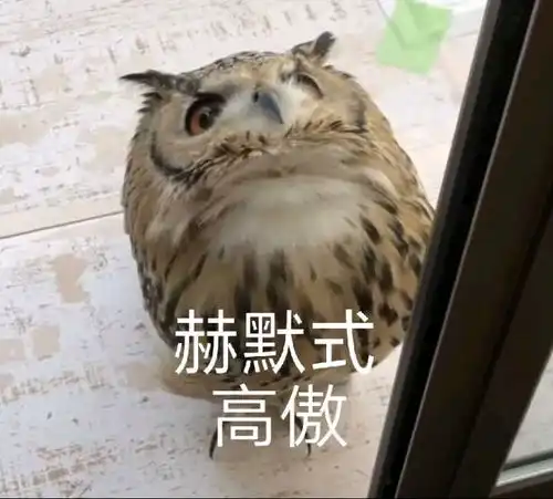 你认为是派蒙其实是konodio哒盘点下从网上找来的明日方舟和原神表情拍
