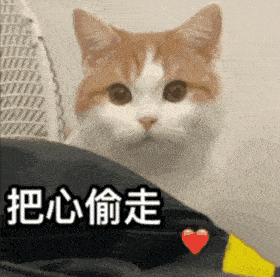 微信聊天气泡终于来啦自带特效让你瞬间个性十足
