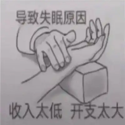 笑死人的表情包大全失眠原因开支太低收入太大
