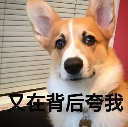 开心一刻段子4s店还算仗义,不欺负我们这种穷人,只欺负有钱人
