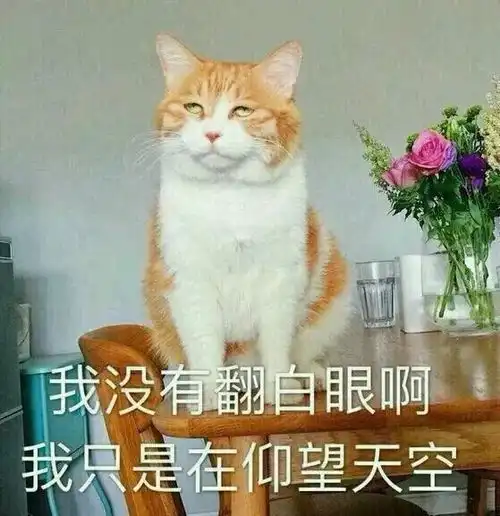您的小奶狗已送达,请签收
