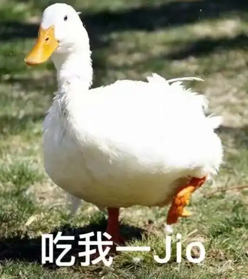 鸭子可以用来对付蝗虫吗

