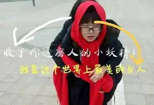 小主独家限量表情包重磅来袭
