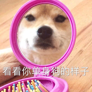 超好玩的沙雕表情包
