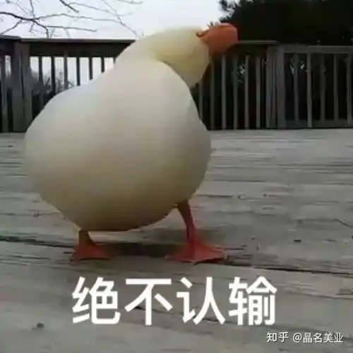 粤语词你会多少
